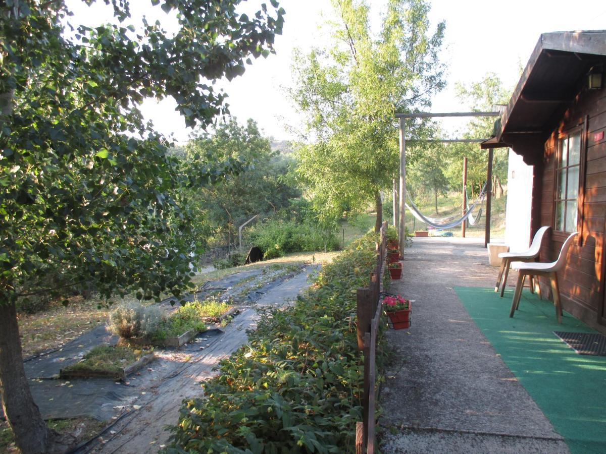 Bungalow A Choupana - Quinta da Carvoíça - Vale Pradinhos Vale de Pradinhos Exterior foto